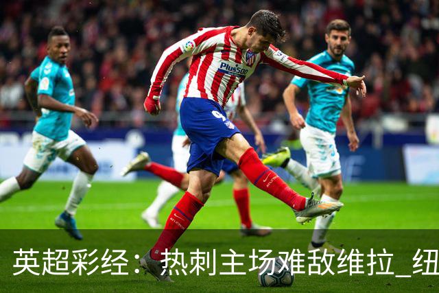 英超彩经：热刺主场难敌维拉 纽卡斯尔全取三分
